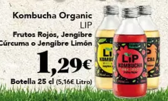 Kombucha -  Organic