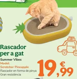 Summer Vibes - Rascador Para Gato 