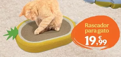 Rascador Para Gato