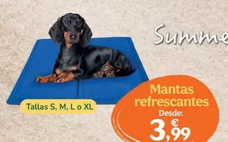 Summer Vibes - Mantas Refrescantes