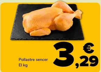 Pollastre Sencer