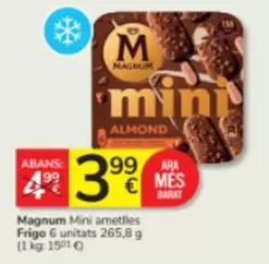 Magnum - Mini Ametlles Frigo