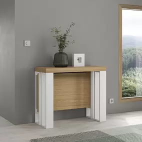 CONSOLA CONVERTIBLE BABEL