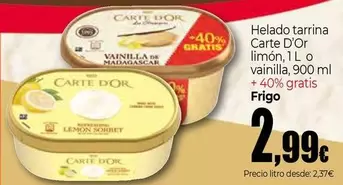Frigo - Helado Tarrina Carte D'Or