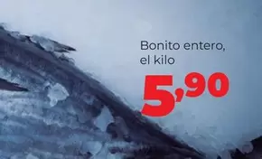 Bonito Entero