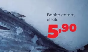 Bonito Entero