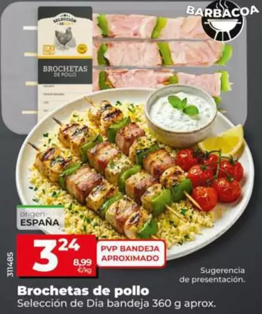 Seleccion De Dia - Brochetas De Pollo