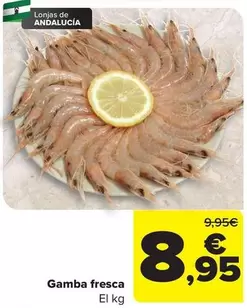 Gamba Fresca
