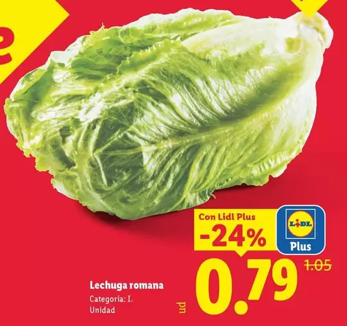Lechuga Romana