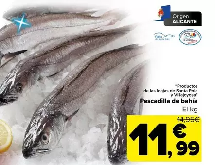 Pescadilla De Bahia