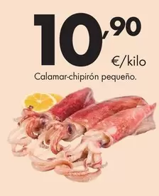Calamar-Chipirón Pequeño