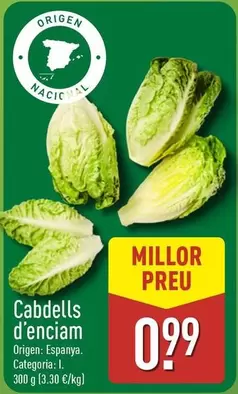 Cabdells D'enciam