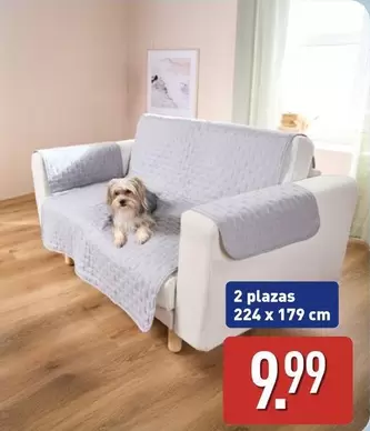 Home Creation - Protector De Sofa