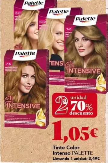 Palette - Tinte Color Intenso