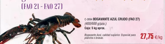 Bogavante Azul Crudo (fao 27)