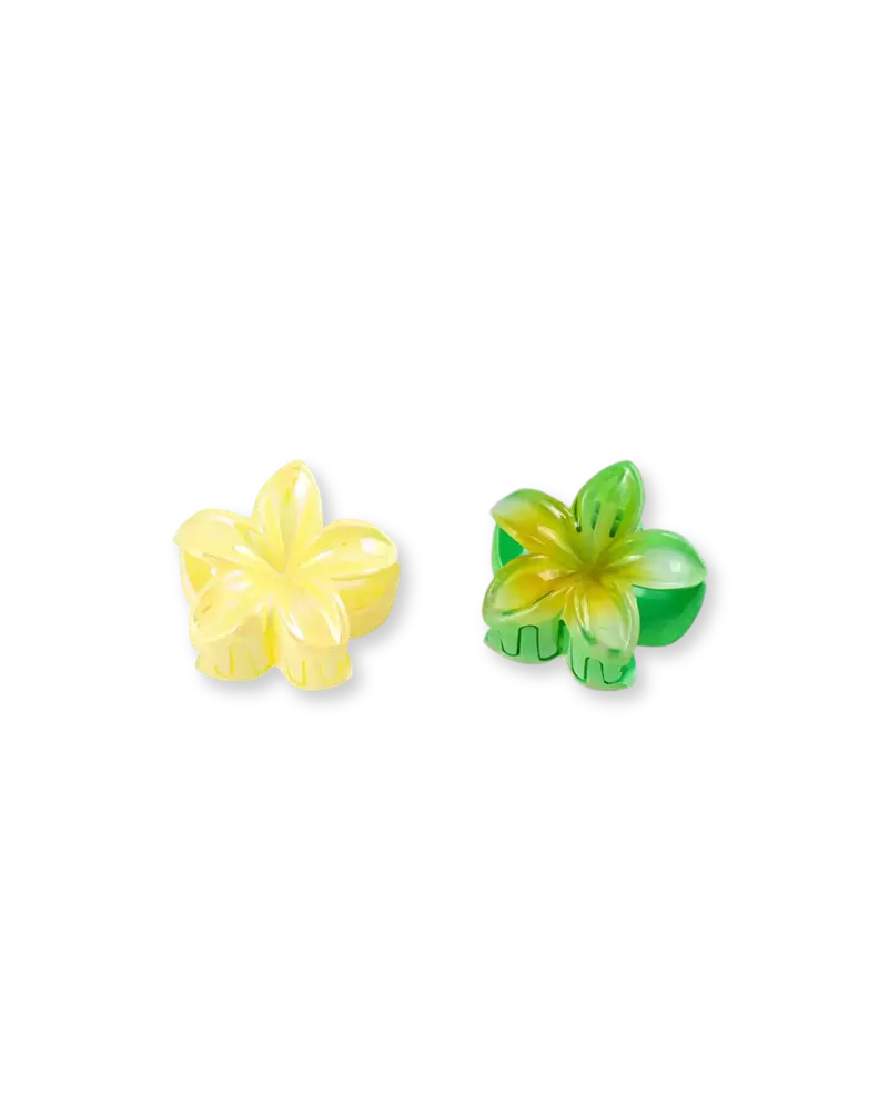 Haarklammer-Set - Glossy Flowers