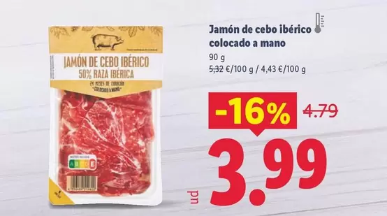 Jamón De Cebo Ibérico Colocado A Mano