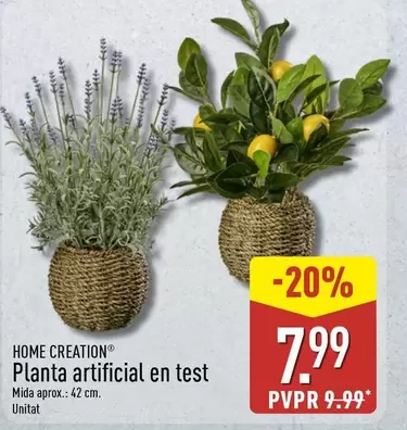 Home Creation - Planta Artificial En Test