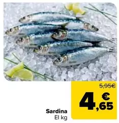 Sardina