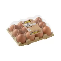 Huevos de gallinas camperas