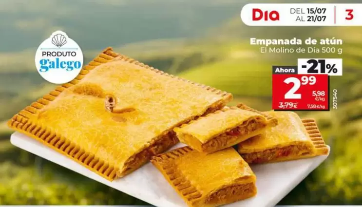 El Molino De Dia - Empanada De Atún