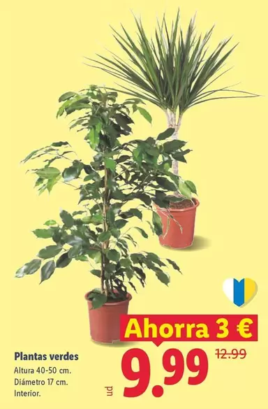 Plantas Verdes
