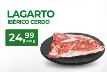 Lagardo Ibérico Cerdo