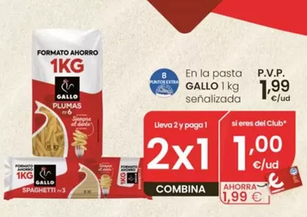 Gallo - Pasta