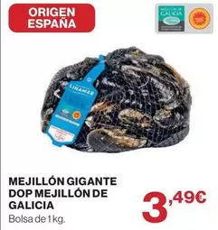 origen - Mejillón Gigante Dop Mejillón De Galicia