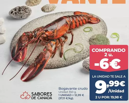 canada - Bogavante Crudo