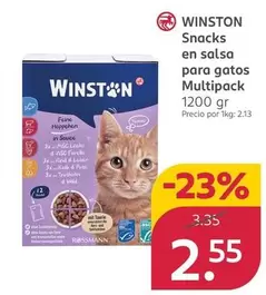 Winston - Snacks En Salsa Para Gatos Multipack