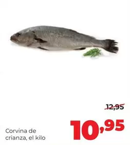 Alimerka - Corvina De Crianza