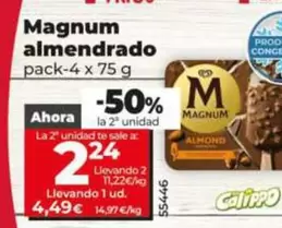 Algida - Magnum Almendrado