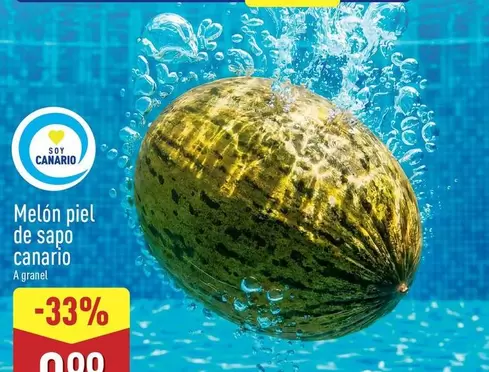 Soy Canario - Melon Piel De Sapo