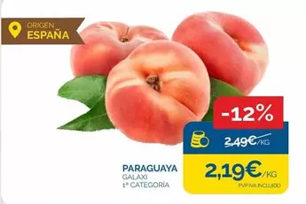 origen - Paraguaya