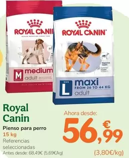 Royal Canin - Pienso Para Perro