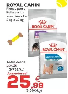 Royal Canin - Pienso Perro Referencias Seleccionadas