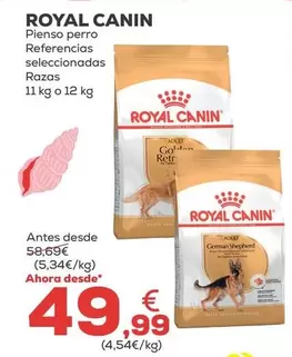 Royal Canin - Pienso Perro