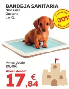 Nice Care - Bandeja Sanitaria