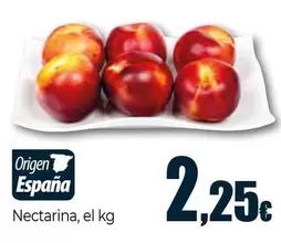 Nectarina