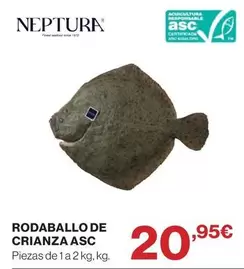 Rodaballo De Crianza Asc