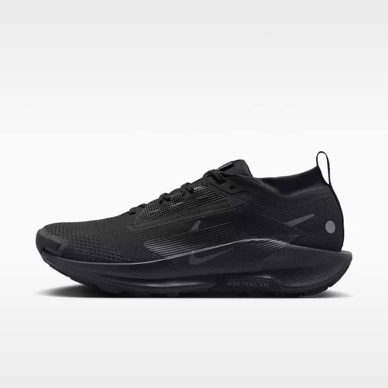 Nike Pegasus Trail 5 GORE-TEX