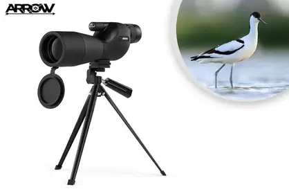 Visor de aves con trípode