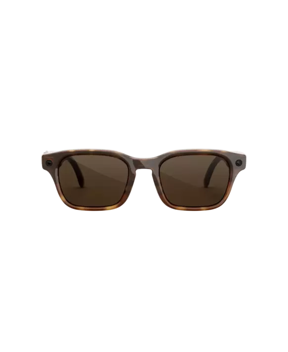 Gafas con IA Adventurer Tortoise