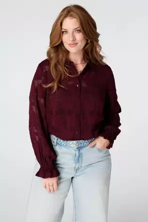 Blusa transparente