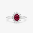 Anillo Dinastia