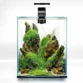 Set acuario 20 black