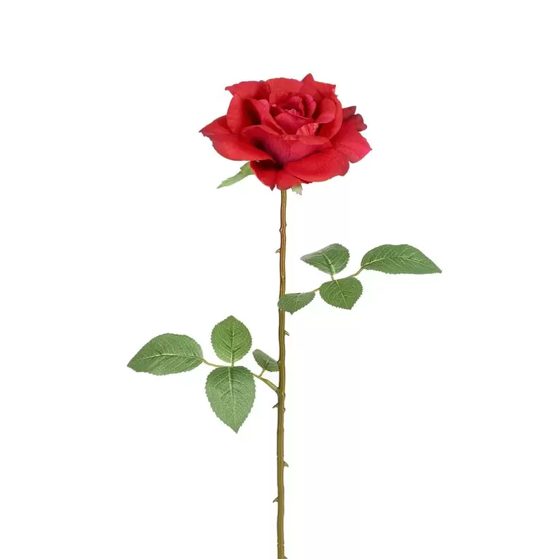 Tige de Rose Sophie fermée - Rouge