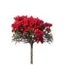 Bouquet de Baies - Rouge