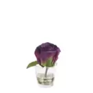 Rose en Illusion d'Eau Stones - Violet
